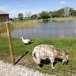 דירה Rosengaard And