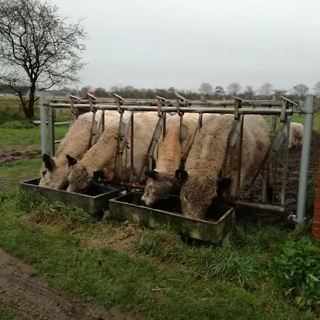 Rosengård Friland Og Lejlighed Bramming