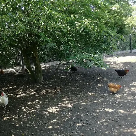Lejlighed Rosengård Friland Og Bramming
